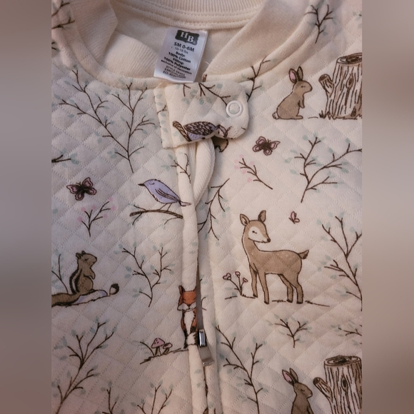 Hudson Baby Infant Long Sleeve Cotton Jersey Sleeping Bag Enchanted Forest - Picture 3 of 3